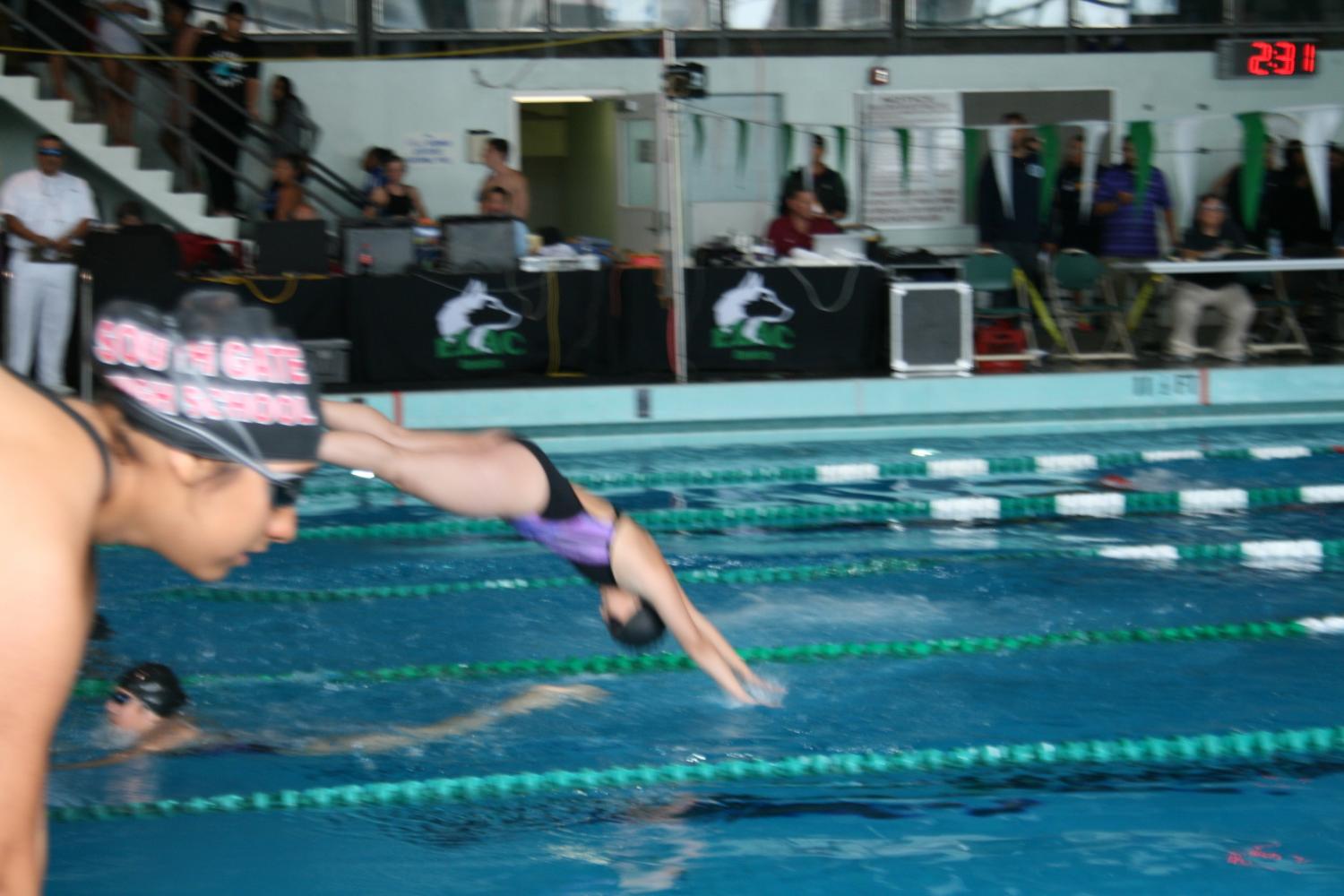 One of the girl varsity swimmers about to hit the water with her amazing dive.
