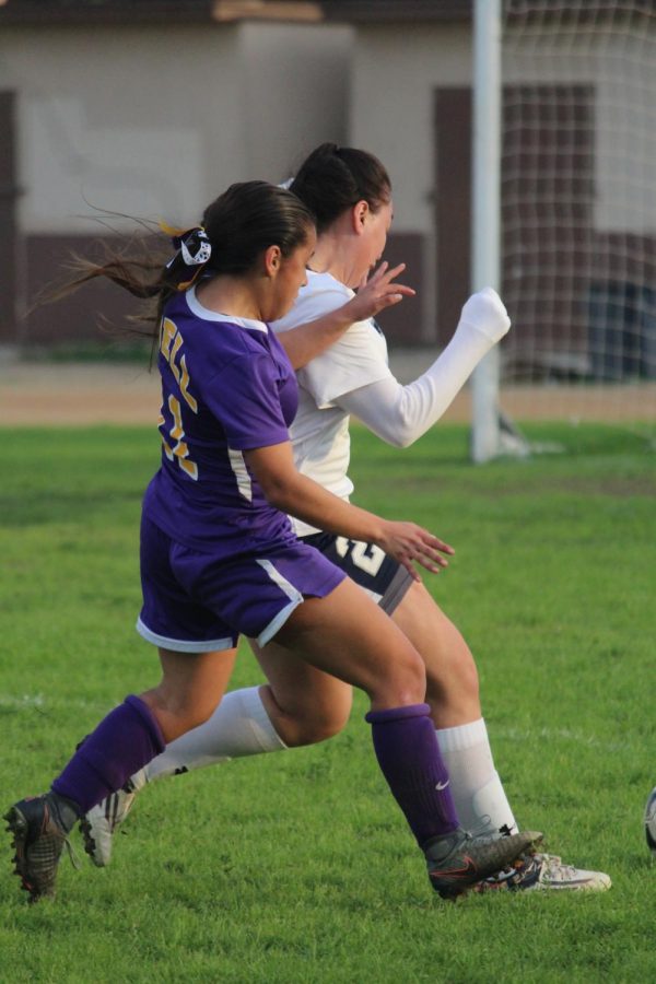 Soccer3