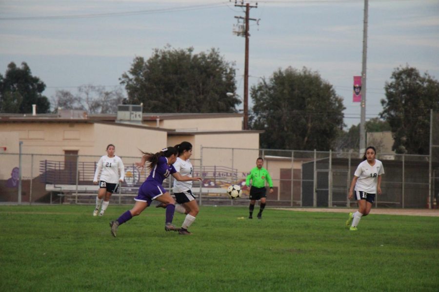 Soccer6