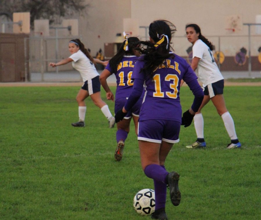 Soccer7