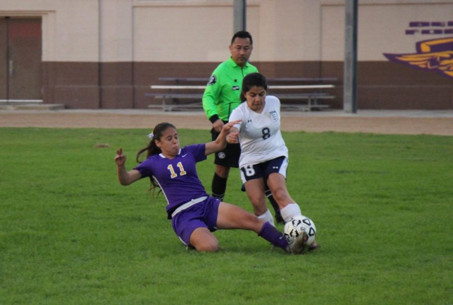 Soccer8